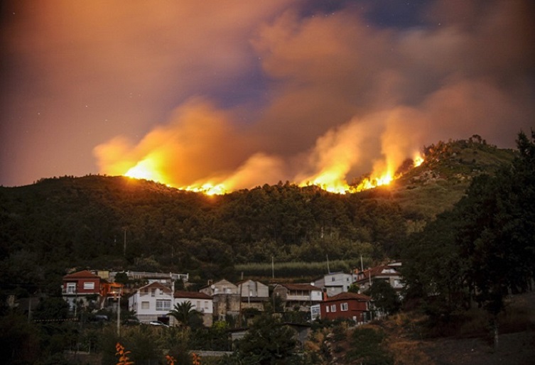 Un granito de arena para luchar contra los incendios forestales